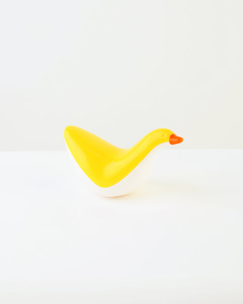 Floating Duck