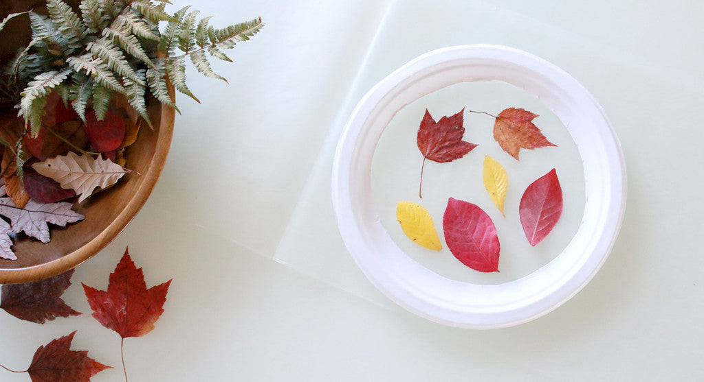 How to Make Leaf Suncatchers