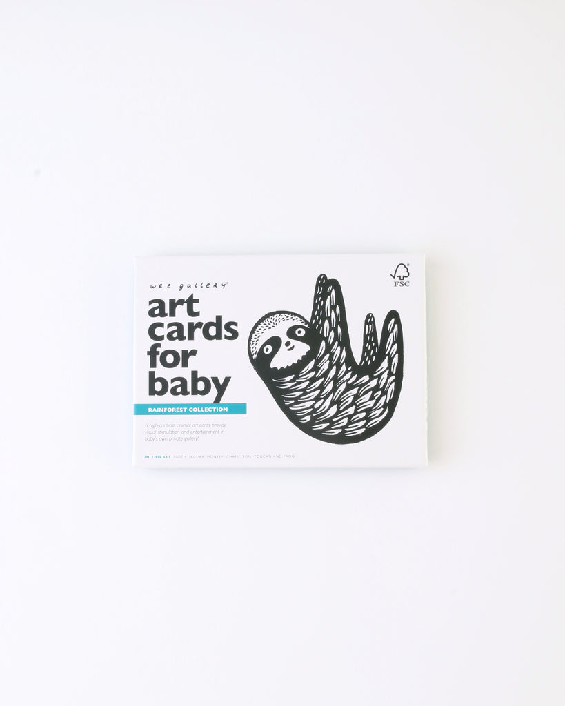 Baby Art Cards - Rainforest
